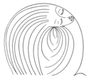 Woman (thumbnail)