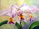 Glorious%20Orchids%20%28print%29 (thumbnail)