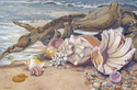 Drifters on the Tide Drifters%20on%20the%20Tide (thumbnail)