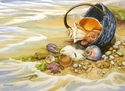 Beachcomber%27s%20Basket%20%20%28print%29 (thumbnail)