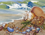 Beachcomber%27s%20Treasures (thumbnail)