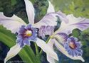 Blue Cattleya Orchid Blue%20Cattleya%20Orchid (thumbnail)