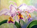 Glorious Orchids Glorious%20Orchids (thumbnail)