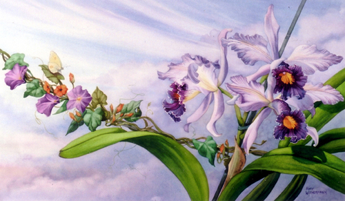 Summer Breeze (print) Summer%20Breeze%20%28print%29 (thumbnail)
