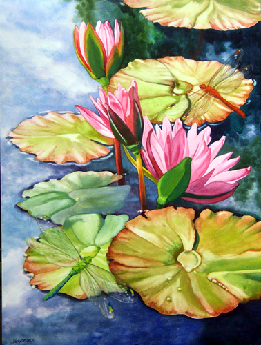 Waterlilies%20%26%20Dragonflies (large view)