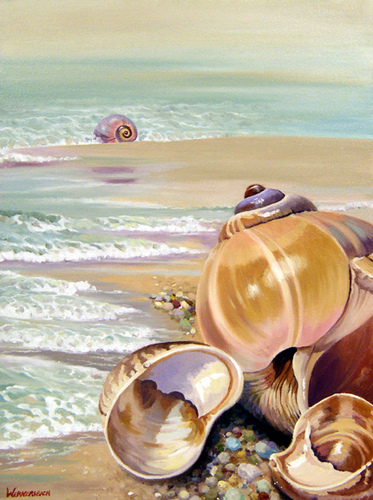 Moon%20Snails%20%26%20Slipper%20Shells (large view)