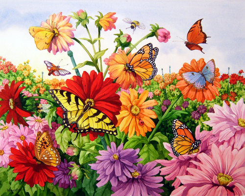 Butterflies%20%26%20Blossoms (large view)
