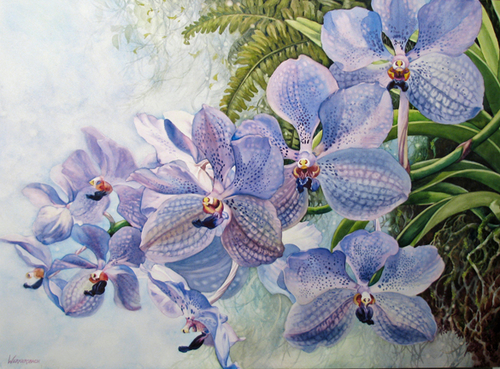 Orchid%3A%20Blue%20Vanda (large view)