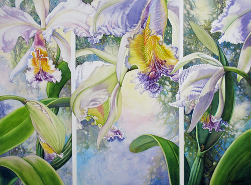 Emerging%20Orchid%20Triptych (large view)