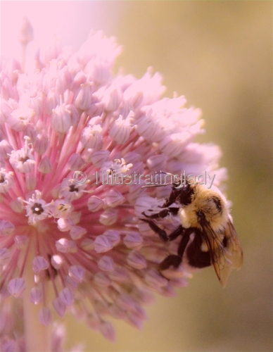 Clumsy%20Bumblebee (large view)