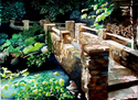 Bridge%20to%20Pearson%20Falls (thumbnail)