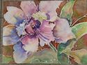 Bold%20Orchid (thumbnail)