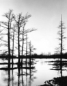 Black%20Bayou%20Sunset (thumbnail)