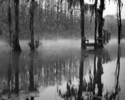 Foggy%20Dock (thumbnail)