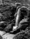 Garvan%20Gardens%20Waterfall (thumbnail)