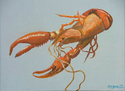 Crawfish (thumbnail)