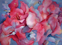 Bougainvillea (thumbnail)