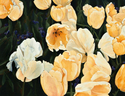 Topsy%20Tulips (thumbnail)