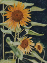 Sunflowers (thumbnail)
