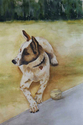 Dog (thumbnail)