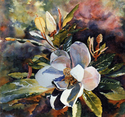 Magnolia (thumbnail)