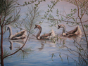 Three%20Geese%20Swimming (thumbnail)
