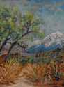 Colorado%20Mountain (thumbnail)