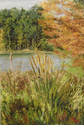 Arkansas%20Autumn (thumbnail)