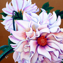 Delightful%20Dahlia (thumbnail)