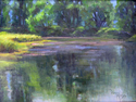 Pond%20Reflections (thumbnail)
