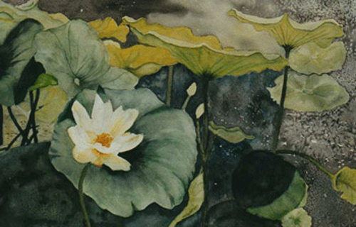 Waterlily (large view)
