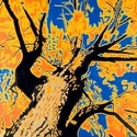 ANGLED%20COTTONWOOD (thumbnail)