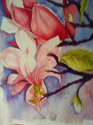 Magnolia
