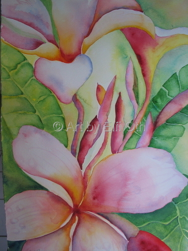 Painting-Watercolor-Sweet Frangipani