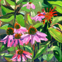 Painting-Coneflowers and Bee Balm