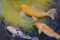 Koi