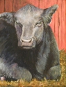 That's A Lot A Bull