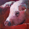 pig - Animals Painting