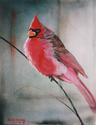 Cardinal #1