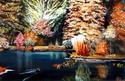 Autumn Pond