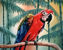 Steven Cooper - Parrot #1