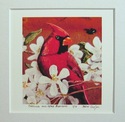 Cardinal With Apple Blossoms