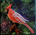 Cardinal 6
