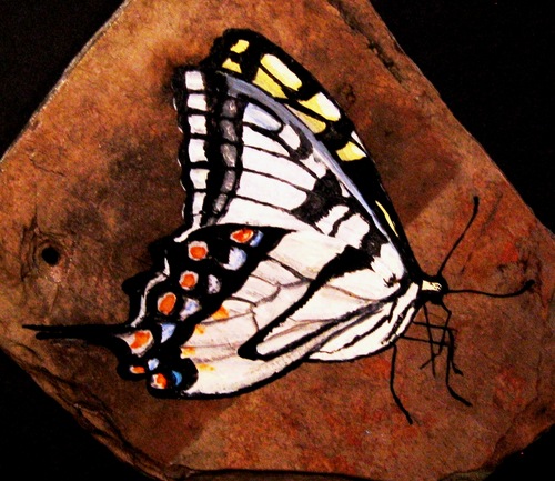 Painting-Acrylic-Butterfly #8