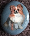 Hand painted pet stones 