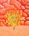 #2 The Burning Bush