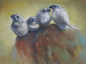 Fledglings (thumbnail)