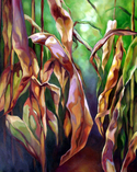 Pathway (thumbnail)