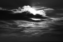 An%20Evening%20in%20Black%20and%20White (thumbnail)