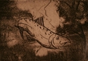 Fish%20Out%20of%20Water (thumbnail)